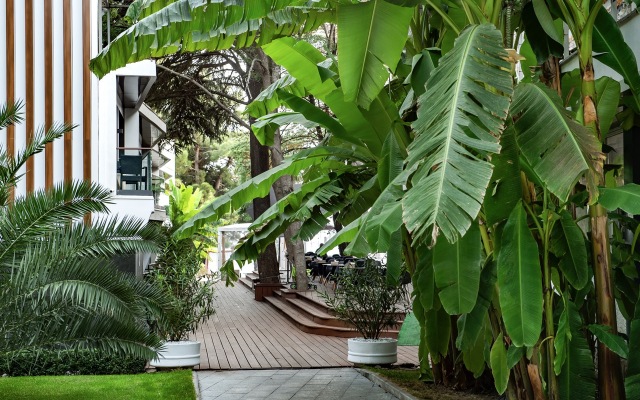 Парк-отель Московский