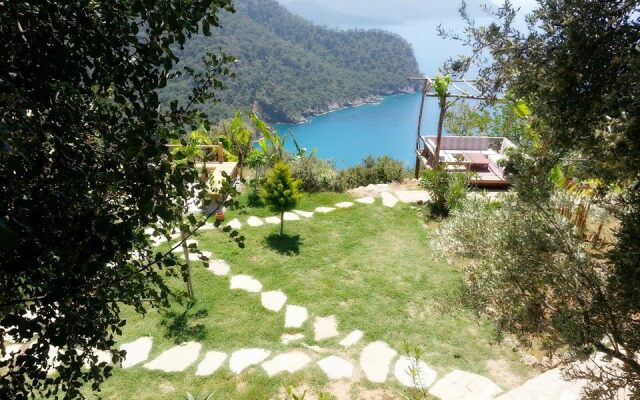 Olive Garden Kabak Villa