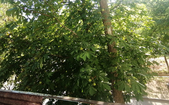 Квартира Уютная Рядом со СХИ