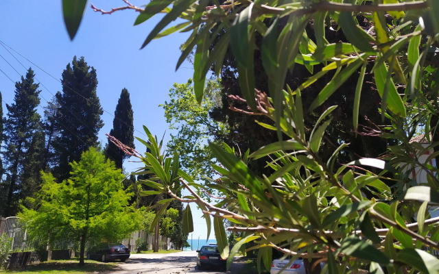 Dolce Vita Gudauta Villa