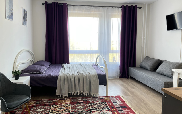 Nedaleko ot Vnukovo Apartments