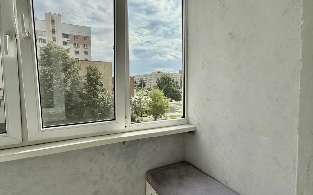 Mileyshaya Dvushka V Tsentre Minsk Apartments