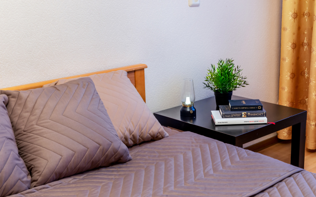 Квартира Удельный пр. 29 Алмазова 5 мин пешком