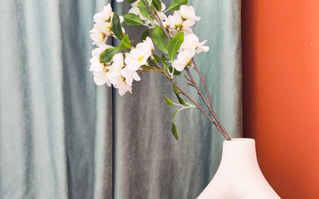 Квартира Арабика