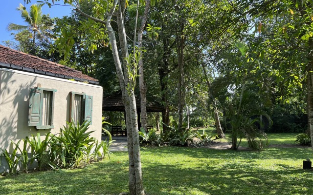 Ayurveda 386 Villa