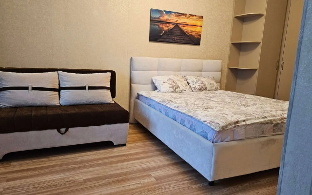 Квартира однокомнатная в центре на проспекте Красного Знамени 33