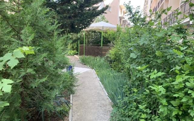 Отель Амалия