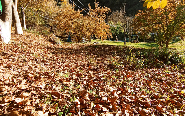 Кемпинг Three poplars by VL