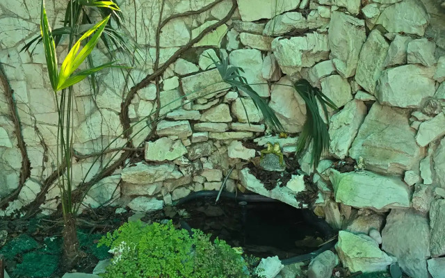 Alenka Guest house
