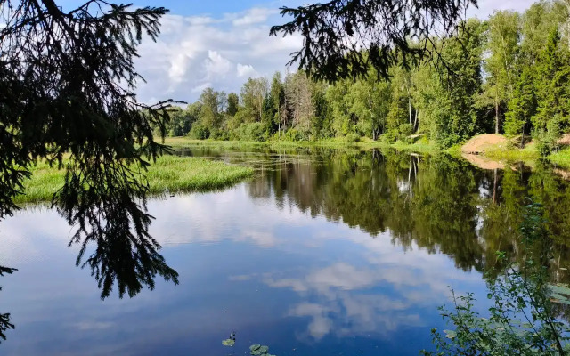 Частный Дом Lisitsky с Сауной в Лесу