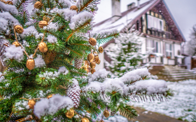 Usad'ba Belovezhskoe Pomest'e Guest House