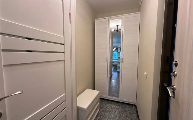 Kvartira u metro Parnas Apartments