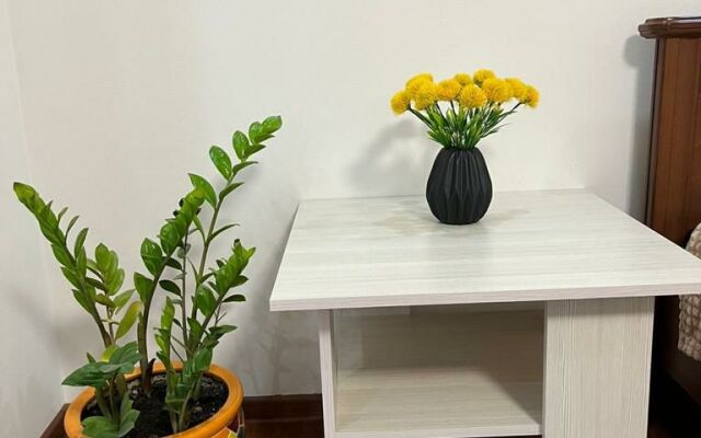 Апартаменты 1-комнатные с видом на Волгу (Бухта)