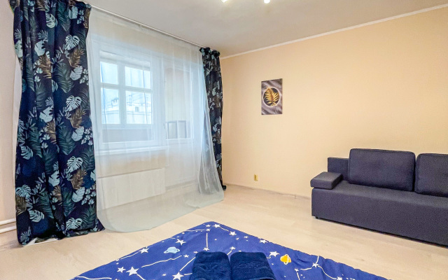 Odnokomnatnye na Guryanova 2/3 Apartments