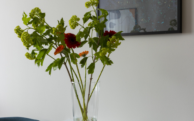 Апартаменты Студия в Авенире для Двоих