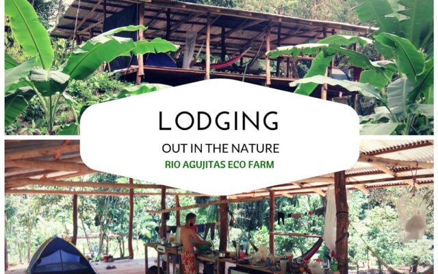 Кемпинг Rio Agujitas Eco Farm and Tours