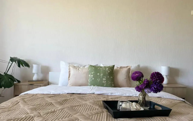 Квартира Однушка в историческом центре