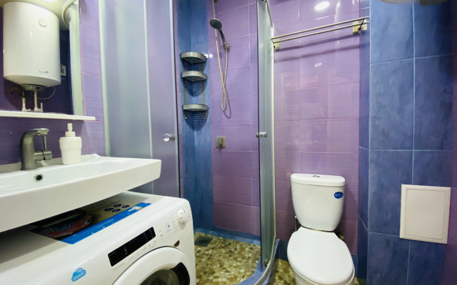 Апартаменты Hanaka на Пионерской 21б №33