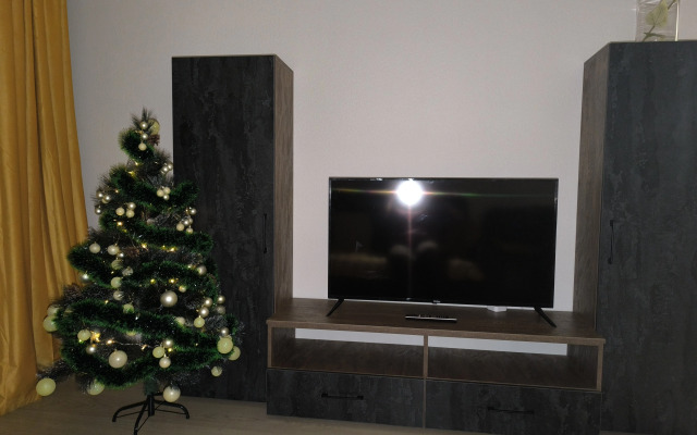 Апартаменты двухкомнатные Оливия Люкс на Плевицкой