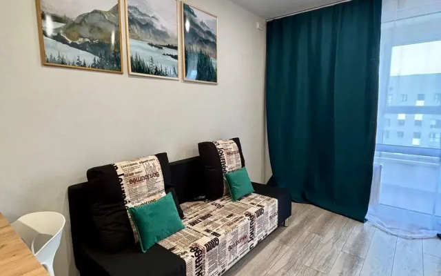 Yevrodvushka V Tsentralnom Rayone Flat