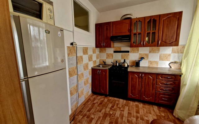V Tsentre Pushkino Na Turgeneva Flat