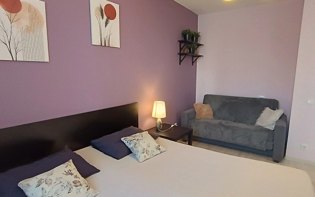 Апартаменты Библиотечная 45 #1