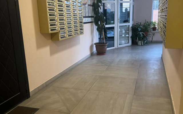 Komfortabelnaya Studiya Dlya Otdykha I Delovykh Poyezdok Flat