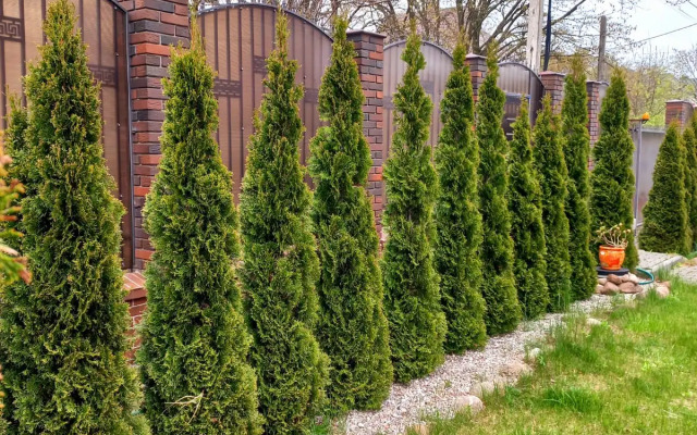 Частный дом на компанию гостей Курорт Пионерский