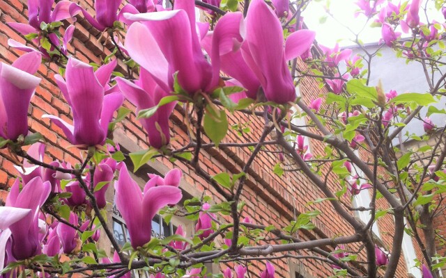 Granat Garden Aprtments