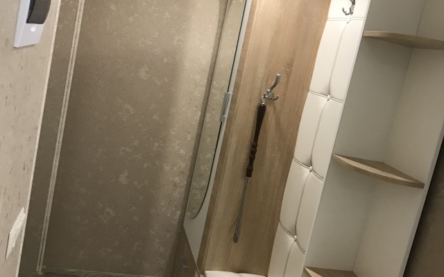 Shikarnaya Stalinka Na Prospekte Lenina Apartments