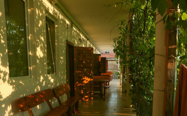 Green Oasis Vavilon Guest House