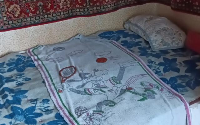 V Gostyakh U Babushki V Moskve I U Reshal Flat