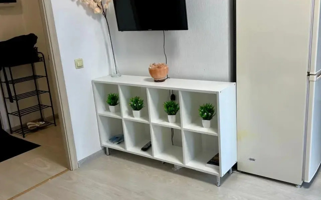 Studiya s vidom na Finskiy zaliv Apartments