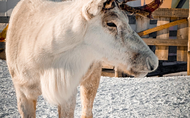 Мини-отель Терь