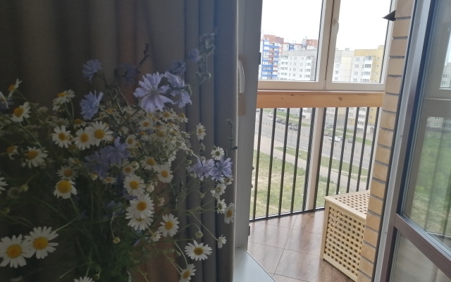 Studiya s vidom na gorod Flat