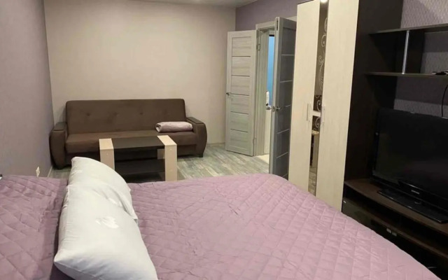 Апартаменты 3 Текстильщиков 39