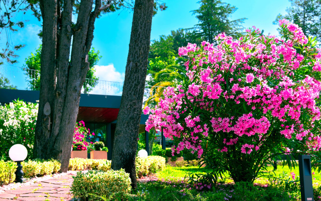 Lazurnyye v Luchezarnom Apartments