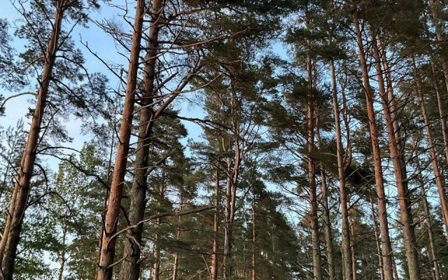 Частный дом Алатирва