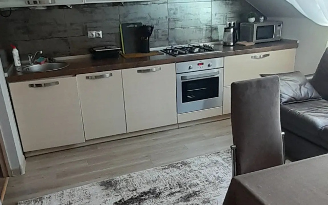 Uyutnaya V Tsentre Pionerskogo Flat