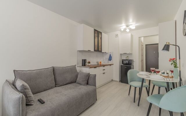 Studiya Na Mikhaylovskaya 51 Apartments