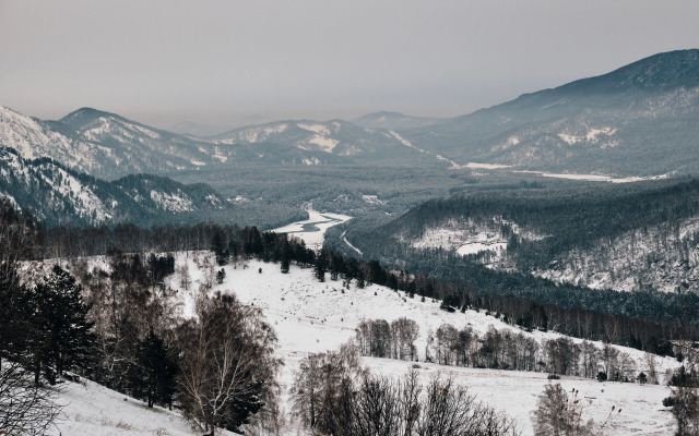 Гостевой дом Кедровый Берег