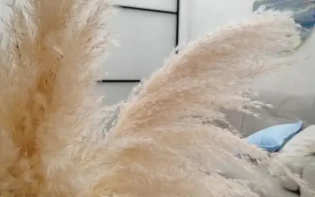 2-Komnatnaya V Samom Tsentre Sochi Flat