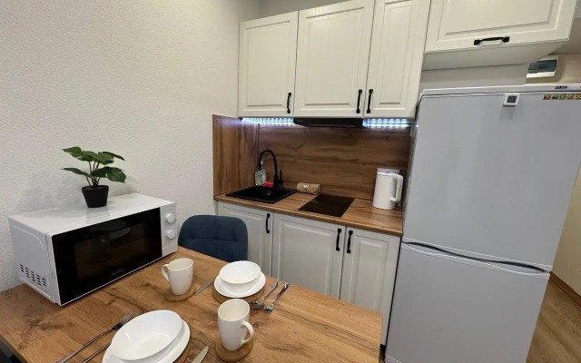 Studiya V Moskve Flat
