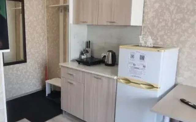 Квартира Уютная студия рядом с аэропортом Курумоч