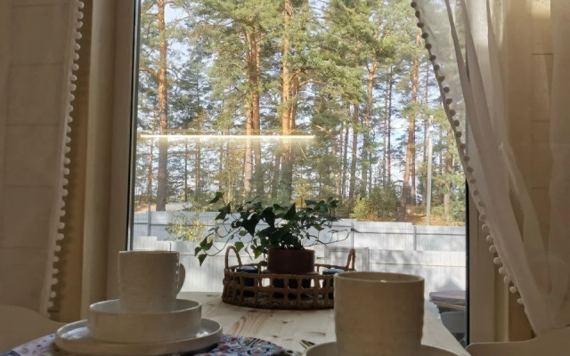 Частный дом Хвойный