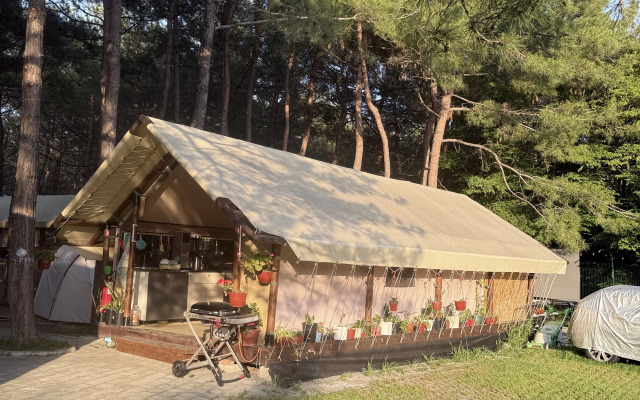 Кемпинг Под Соснами