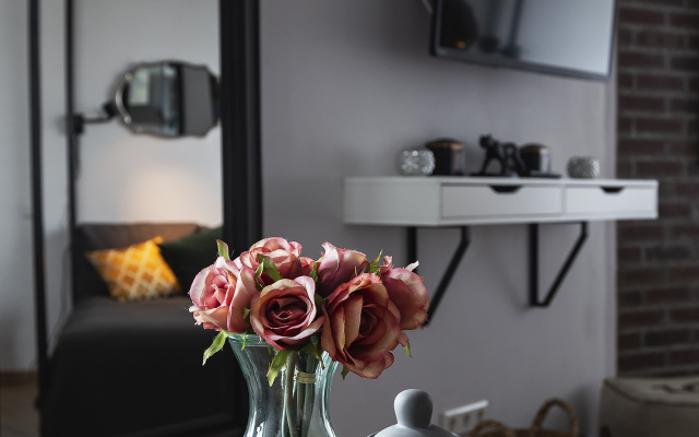 Квартира Студия с Великолепным Видом на Михайловский Замок и Парковкой