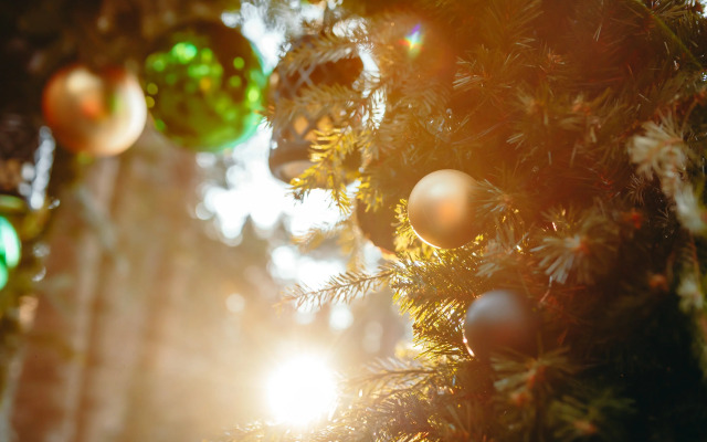 Magic Forest Glamping