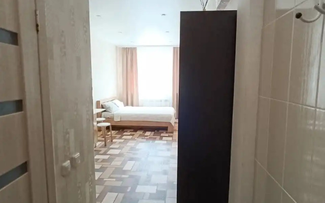 Studiya v Shelekhove Flat