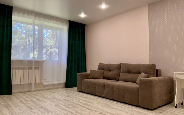 U Morya S Vidom Na Sosnovy Bor Apartments
